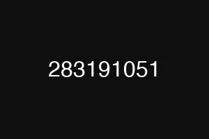 283191051