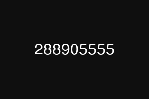 288905555