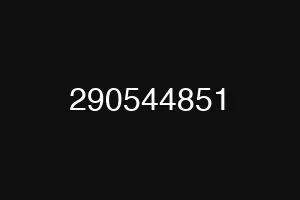 290544851