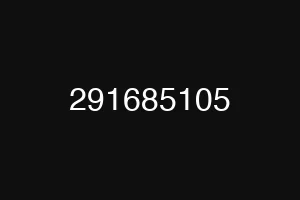 291685105