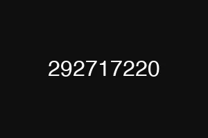 292717220