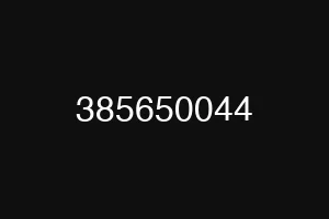 385650044