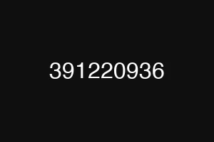 391220936