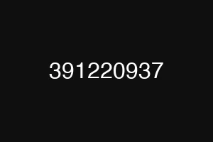 391220937