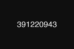 391220943