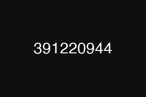 391220944
