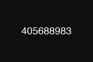 405688983