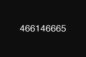 466146665