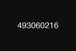 493060216