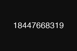 18447668319
