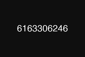 6163306246