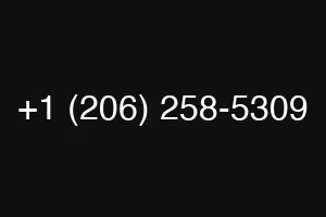 +1 (206) 258-5309