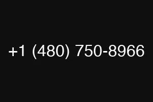 +1 (480) 750-8966