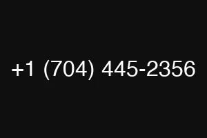 +1 (704) 445-2356