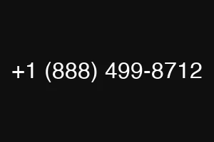 +1 (888) 499-8712