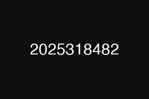 2025318482