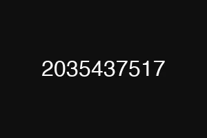 2035437517
