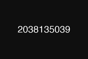 2038135039