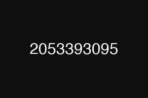 2053393095
