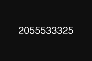 2055533325