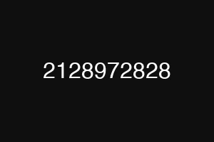 2128972828