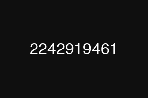 2242919461
