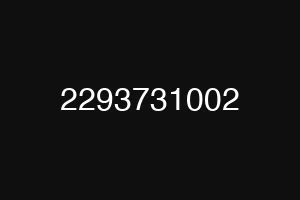 2293731002