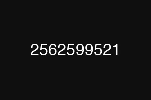 2562599521