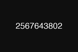 2567643802